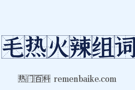 毛热火辣组词是什么意思的图片